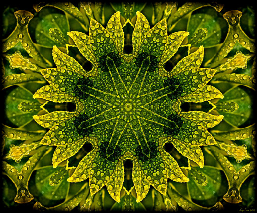 658451 (a): :1777x1470